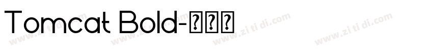 Tomcat Bold字体转换